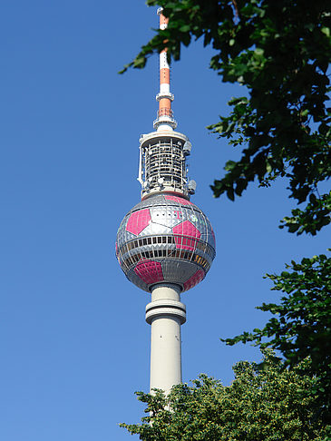 Fotos Fernsehturm und Bäume | Berlin