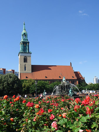 Fotos Marienkirche | Berlin