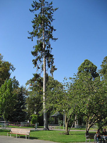 Foto Parkanlage