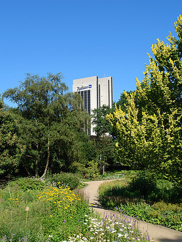Radisson Hotel