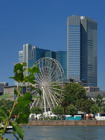 Fotos Eurotower und dresdener Bank mit riesenrad | Frankfurt am Main