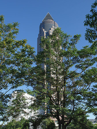 Fotos Messeturm versteckt hinter Bäumen