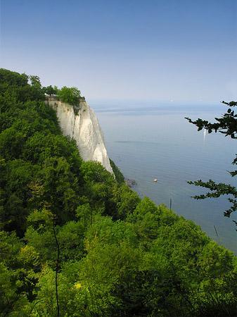 Foto Königsstuhl Kreidefelsen
