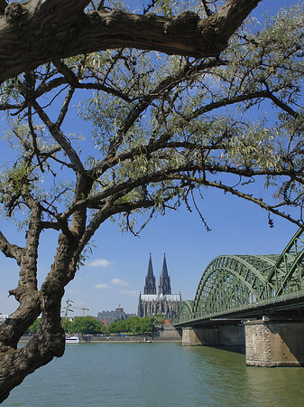 Hohenzollernbrücke am Kölner Dom Fotos