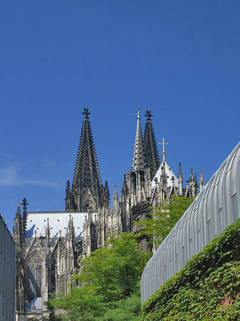 Fotos Hauptbahnhof vor dem Kölner Dom