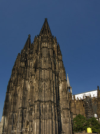 Fotos Südwestfassade des Kölner Doms | Köln