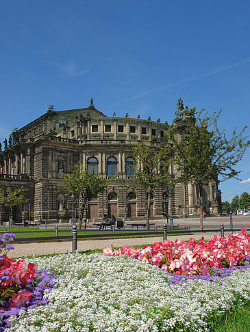 Fotos Semperoper mit Blumen | Dresden