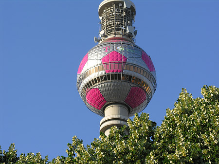 Fotos Fernsehturm und Bäume | Berlin