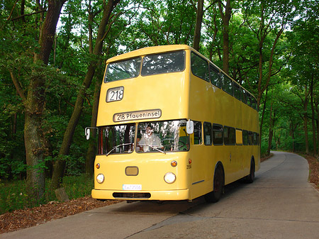 Fotos Bus zur Pfaueninsel