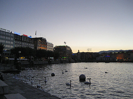 Boote im Hafen Foto 