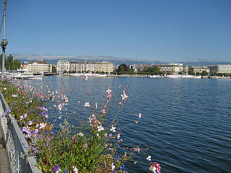 Foto Genfer See - Genf