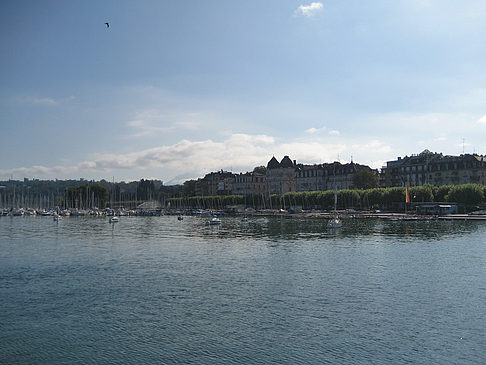 Foto Genfer See