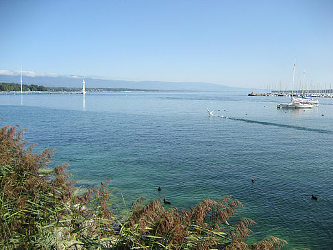 Genfer See