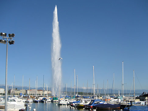 Jet d'Eau Fotos