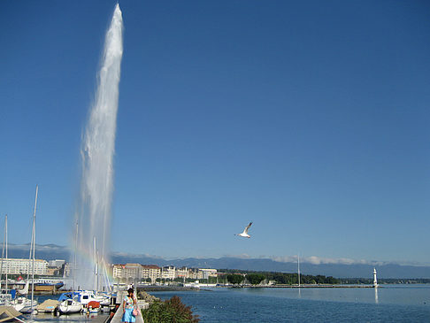 Fotos Jet d'Eau