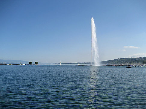 Foto Jet d'Eau - Genf