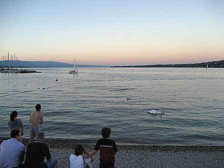 Foto Ufer