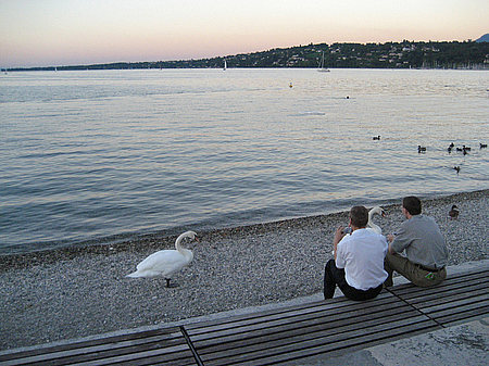 Ufer Foto 