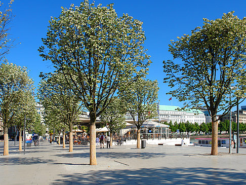 Fotos Alster Pavillon