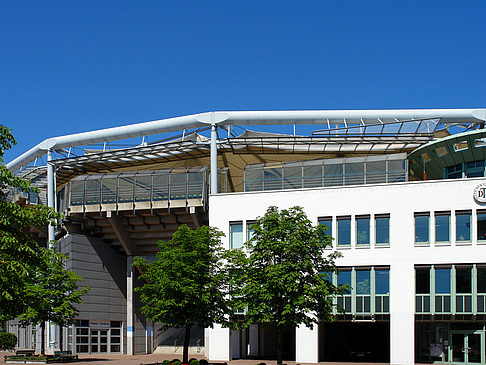 Am Rothenbaum