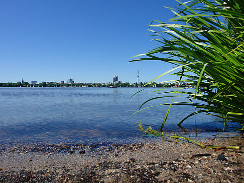 Foto Badestrand an der Außenalster