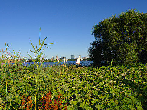 Blick nach Osten von der Außenalster Fotos