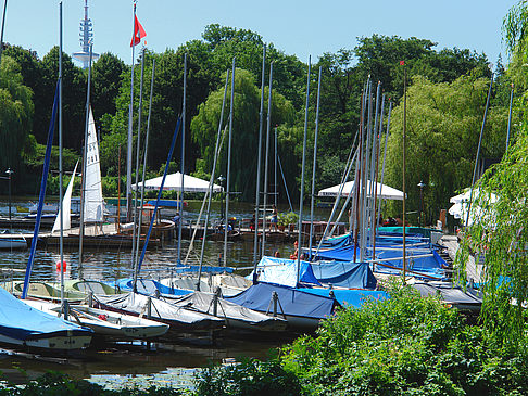 Foto Bootsverleih und Hafen auf der Außenalster - Hamburg