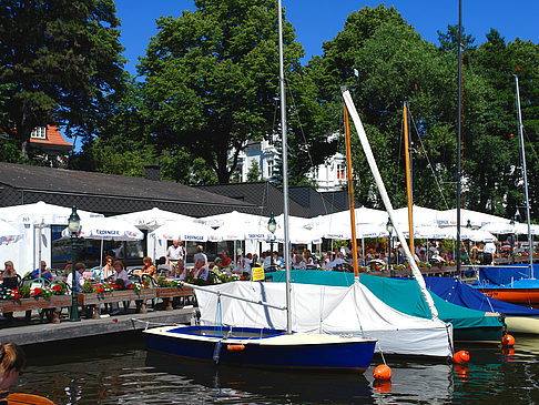 Bootsverleih und Hafen auf der Außenalster Foto 
