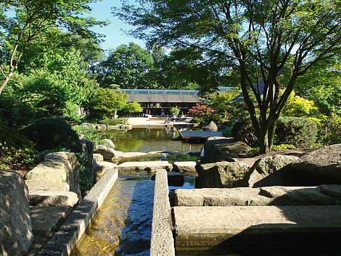 Foto Planten un Blomen - Japanischer Garten - Hamburg