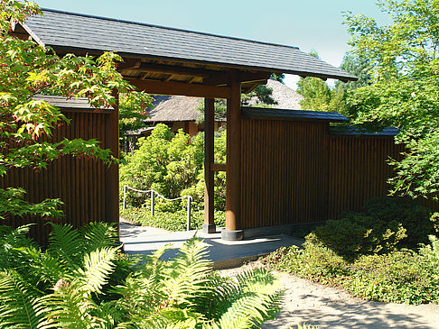 Fotos Planten un Blomen - Japanischer Garten