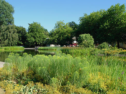 Planten un Blomen - Wiese am Parksee Fotos
