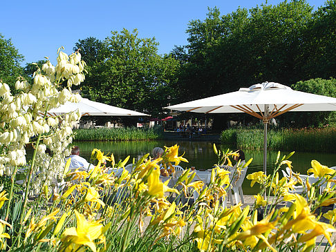 Foto Planten un Blomen - Wiese am Parksee
