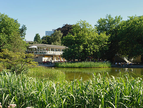 Planten un Blomen - Wiese am Parksee Fotos