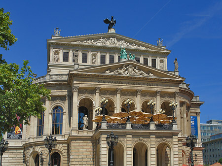 Alte Oper mit Baum Fotos