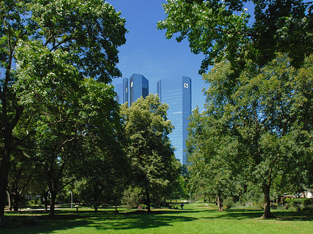 Foto Deutsche Bank mit Wald - Frankfurt am Main