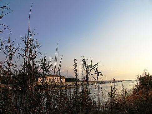 Am See
