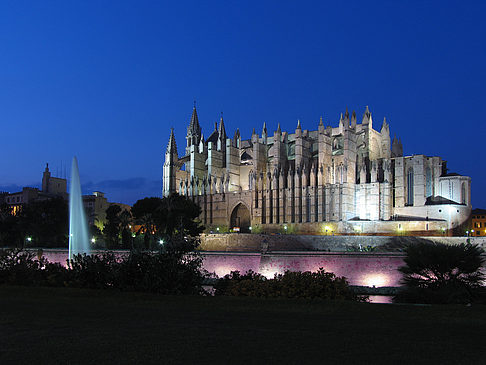 Fotos La Seu mit Fontäne | Palma de Maljorka