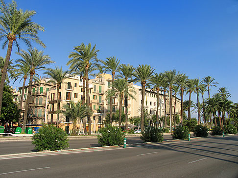 Fotos Auf den Straßen von Palma