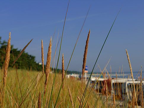 Dünen Fotos
