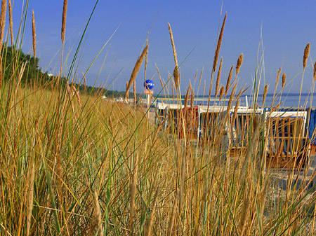 Fotos Dünen | Ostseebad Binz
