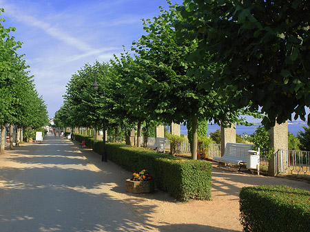 Foto Strandpromenade - Ostseebad Binz