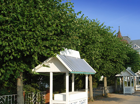 Foto Straßenstände - Ostseebad Binz
