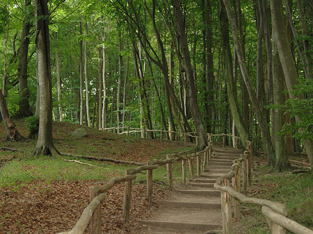 Fotos Kreidefelsen Wanderweg