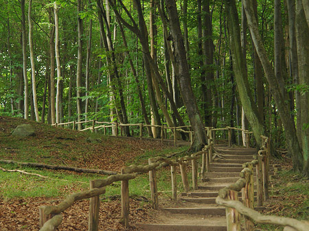 Kreidefelsen Wanderweg Foto 