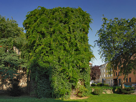 Foto Helenenturm
