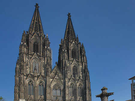 Fotos Kreuzblume vor Kölner Dom