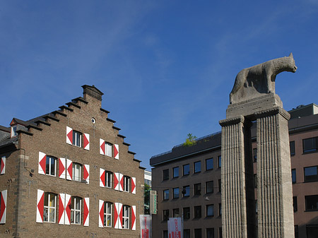 Wolfsstatue und Stadtmuseum Fotos