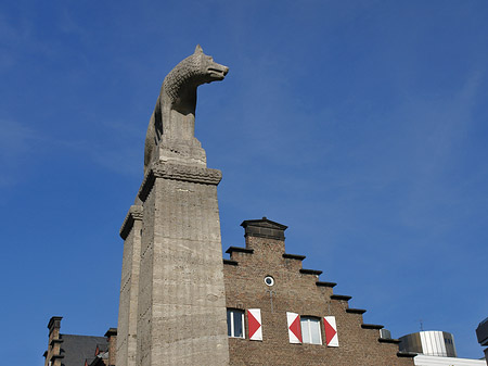 Wolfsstatue und Stadtmuseum Foto 