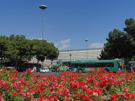 Blumen am Bahnhof Fotos