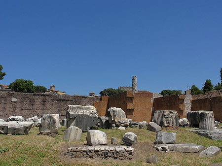 Fotos Basilica Aemilia